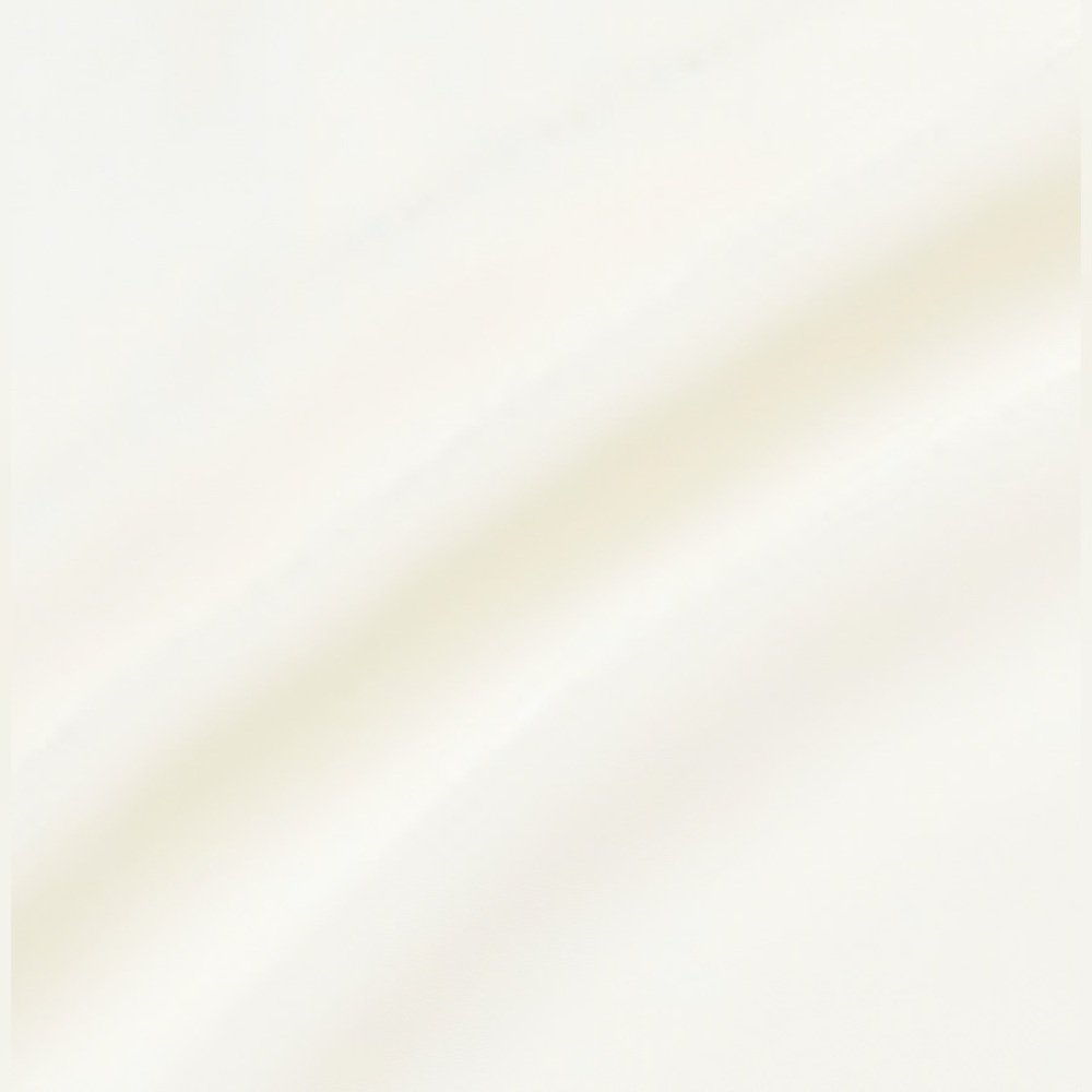 NWT Aritzia Wilfred Secret Midi Slip Dress - Picture 12 of 12